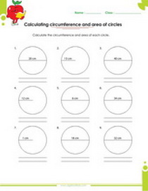Circles circumference and area calculation worksheet